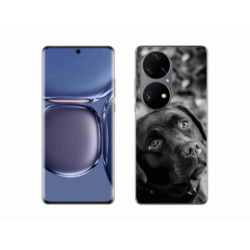 Gelový obal mmCase na mobil Huawei P50 Pro - labrador