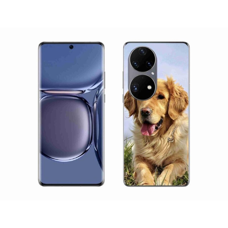 Gelový obal mmCase na mobil Huawei P50 Pro - zlatý retrívr