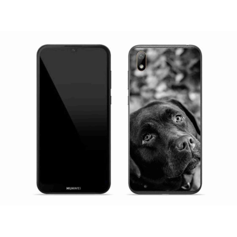 Gelový obal mmCase na mobil Huawei Y5 (2019) - labrador