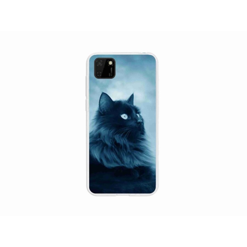 Gelový obal mmCase na mobil Huawei Y5p - černá kočka 1