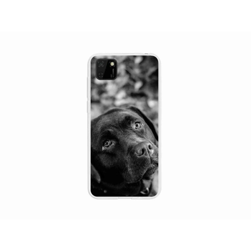 Gelový obal mmCase na mobil Huawei Y5p - labrador