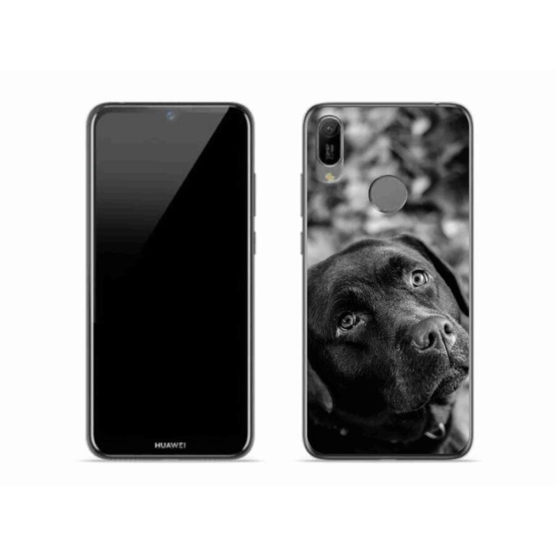 Gelový obal mmCase na mobil Huawei Y6 (2019) - labrador