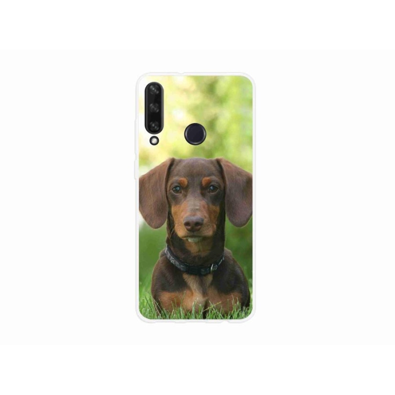 Gelový obal mmCase na mobil Huawei Y6p - hnědý jezevčík