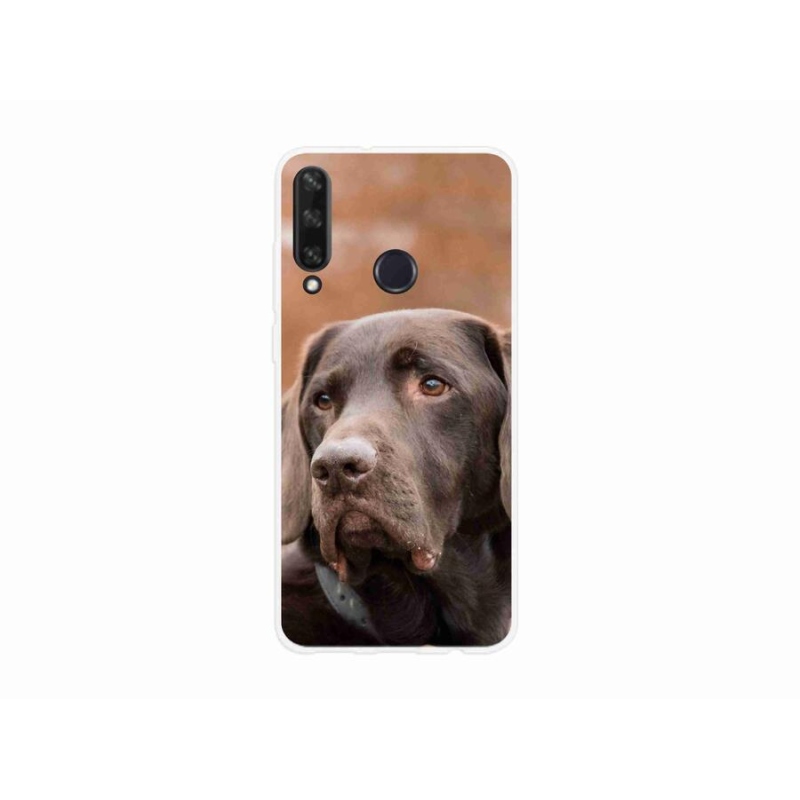 Gelový obal mmCase na mobil Huawei Y6p - hnědý labrador