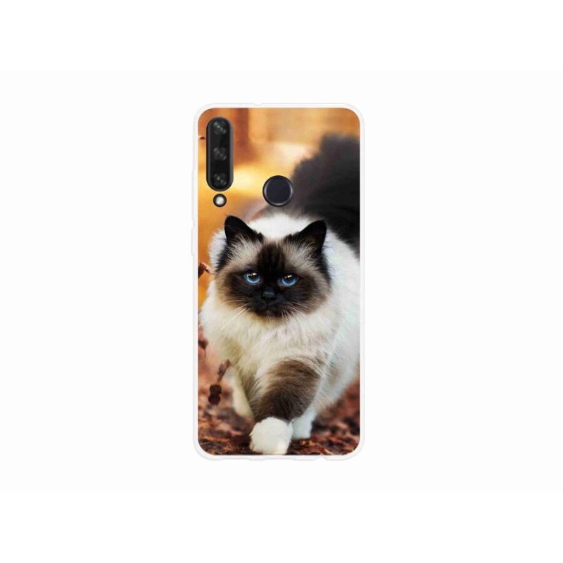 Gelový obal mmCase na mobil Huawei Y6p - kočka 1