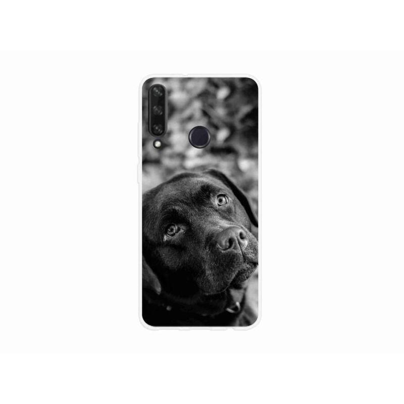 Gelový obal mmCase na mobil Huawei Y6p - labrador