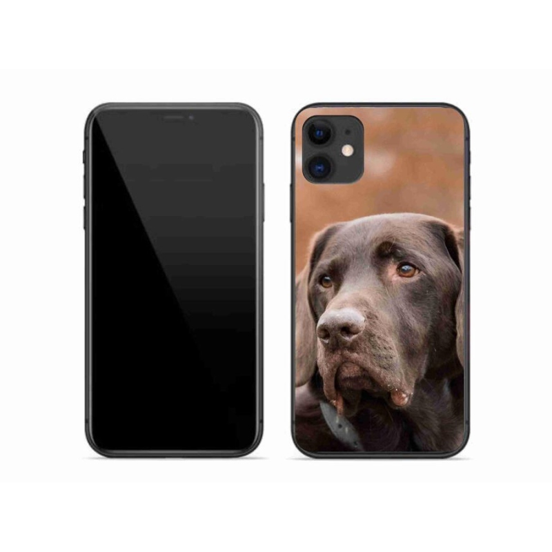 Gelový obal mmCase na mobil iPhone 11 - hnědý labrador