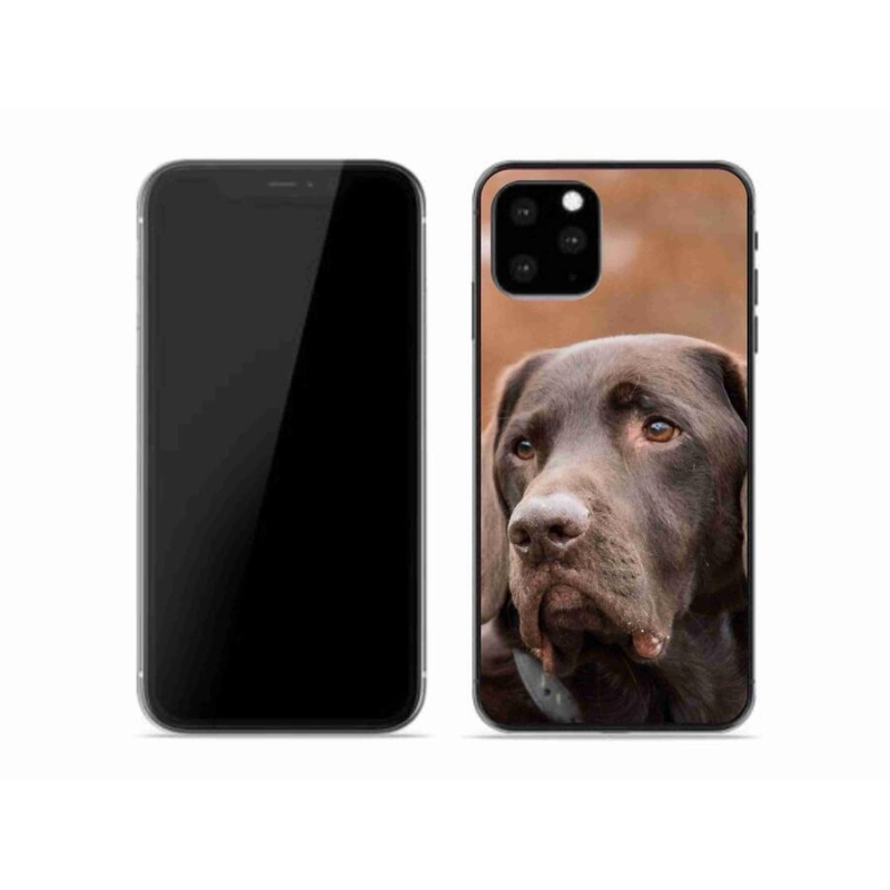 Gelový obal mmCase na mobil iPhone 11 Pro - hnědý labrador