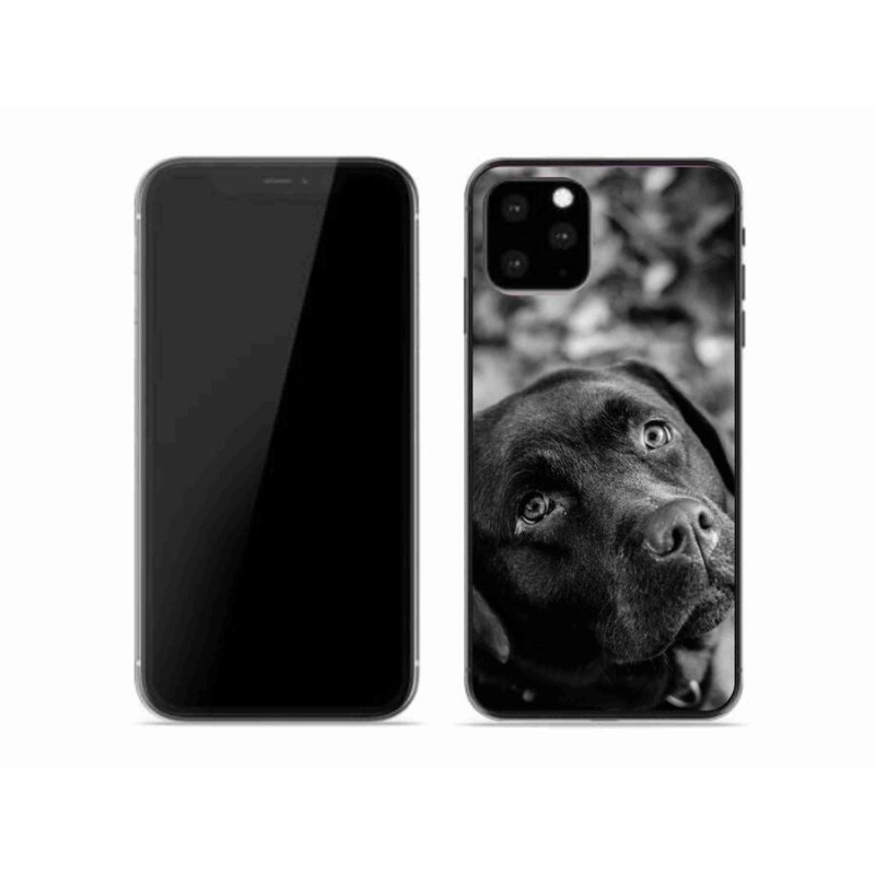 Gelový obal mmCase na mobil iPhone 11 Pro - labrador
