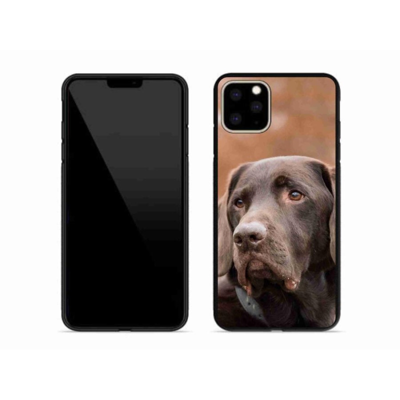 Gelový obal mmCase na mobil iPhone 11 Pro Max - hnědý labrador