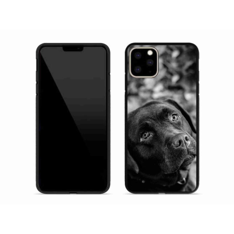 Gelový obal mmCase na mobil iPhone 11 Pro Max - labrador