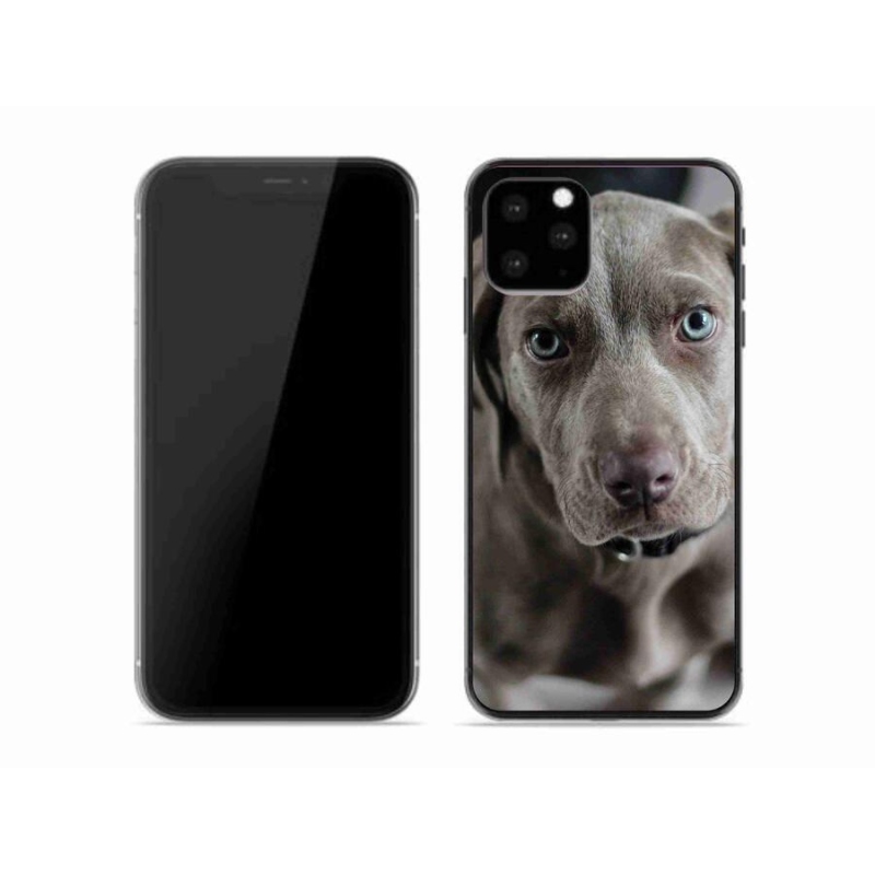 Gelový obal mmCase na mobil iPhone 11 Pro - výmarský ohař