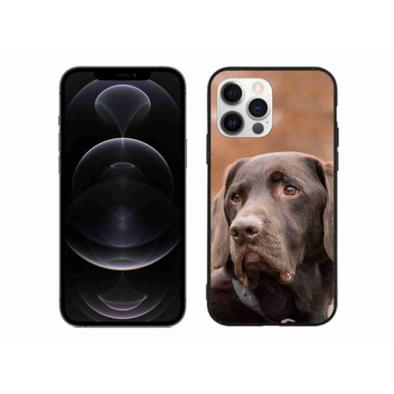 Gelový obal mmCase na mobil iPhone 12 Pro Max - hnědý labrador