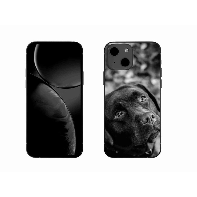 Gelový obal mmCase na mobil iPhone 13 6.1 - labrador