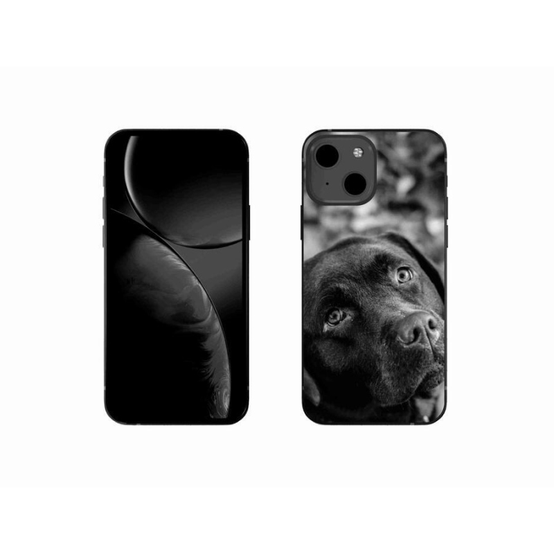 Gelový obal mmCase na mobil iPhone 13 mini 5.4 - labrador