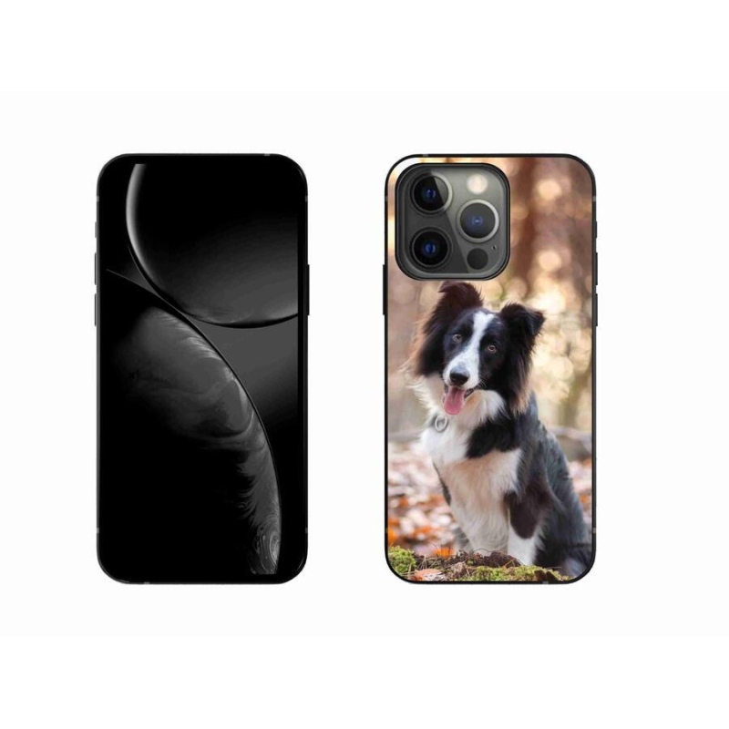 Gelový obal mmCase na mobil iPhone 13 Pro 6.1 - border kolie 1