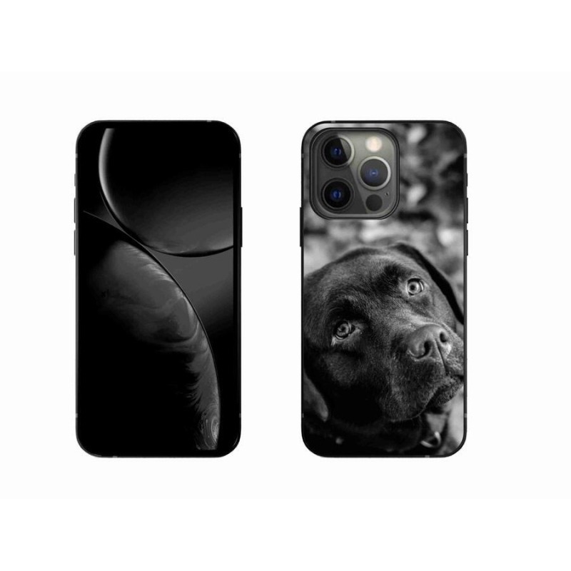 Gelový obal mmCase na mobil iPhone 13 Pro 6.1 - labrador