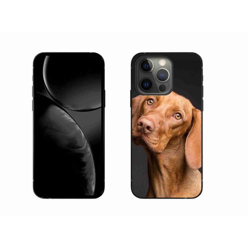 Gelový obal mmCase na mobil iPhone 13 Pro 6.1 - maďarský ohař