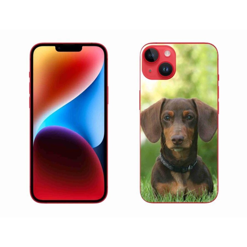 Gelový obal mmCase na mobil iPhone 14 Plus - hnědý jezevčík