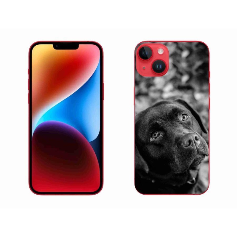 Gelový obal mmCase na mobil iPhone 14 Plus - labrador