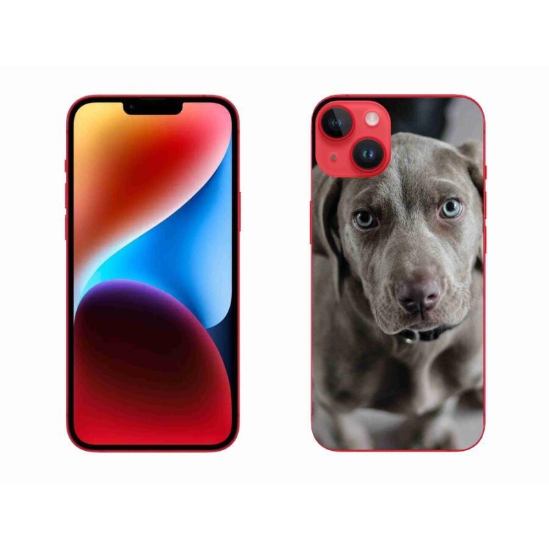 Gelový obal mmCase na mobil iPhone 14 Plus - výmarský ohař