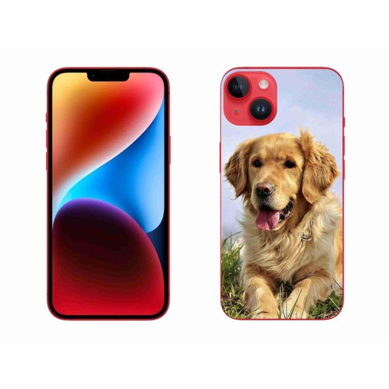 Gelový obal mmCase na mobil iPhone 14 Plus - zlatý retrívr