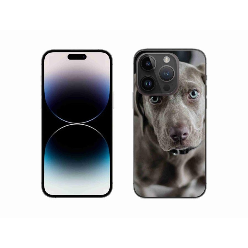 Gelový obal mmCase na mobil iPhone 14 Pro 6.1 - výmarský ohař