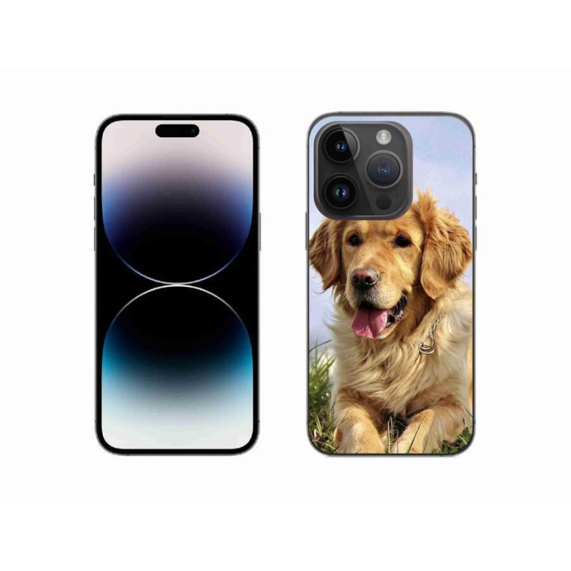 Gelový obal mmCase na mobil iPhone 14 Pro 6.1 - zlatý retrívr