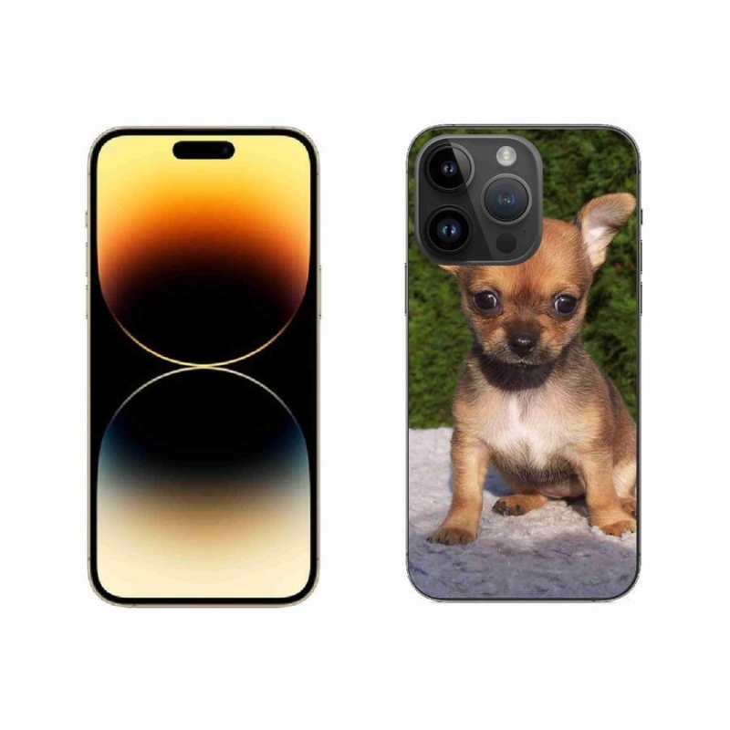 Gelový obal mmCase na mobil iPhone 14 Pro Max 6.7 - čivava 3