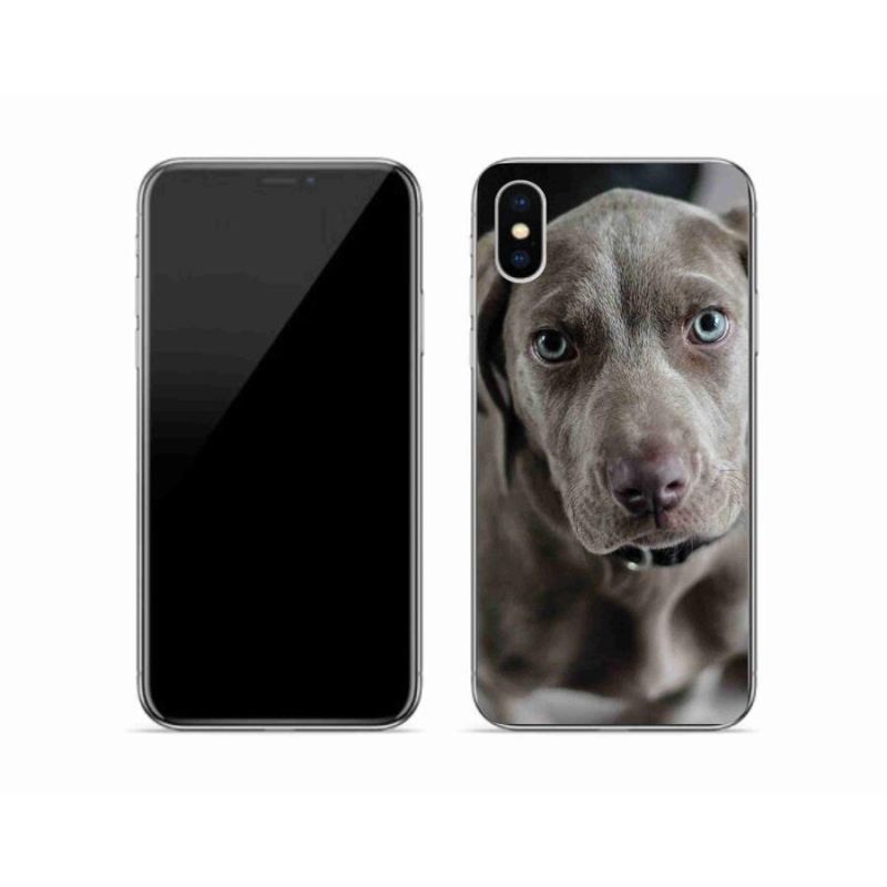 Gelový obal mmCase na mobil iPhone X - výmarský ohař