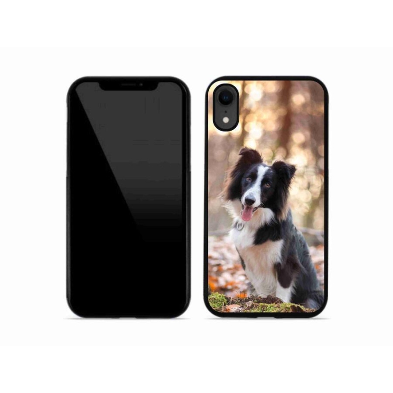 Gelový obal mmCase na mobil iPhone XR - border kolie 1