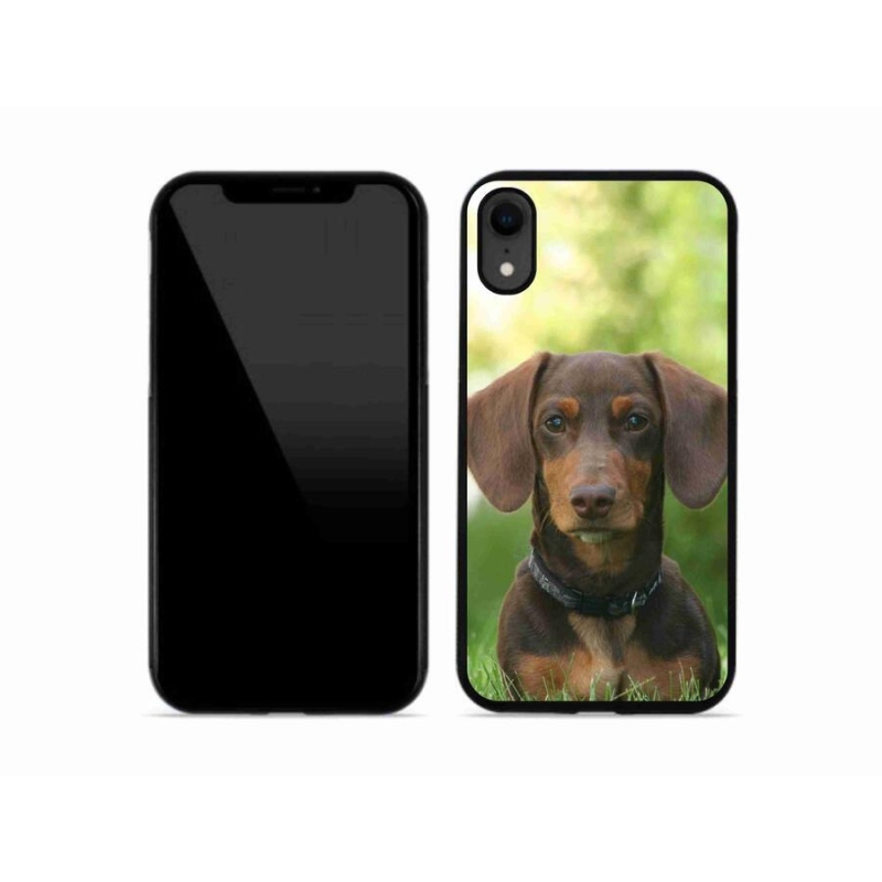 Gelový obal mmCase na mobil iPhone XR - hnědý jezevčík