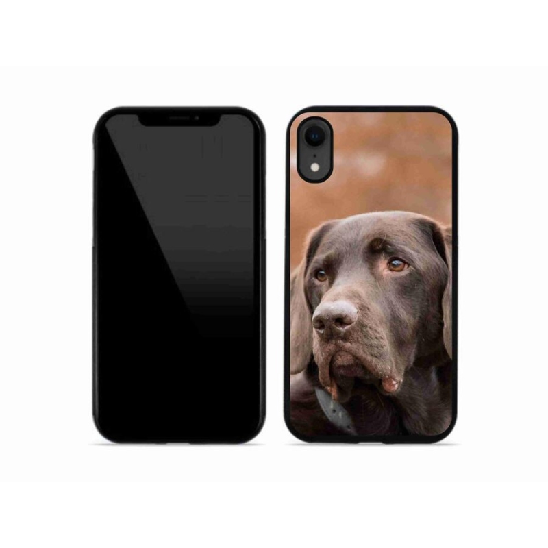 Gelový obal mmCase na mobil iPhone XR - hnědý labrador
