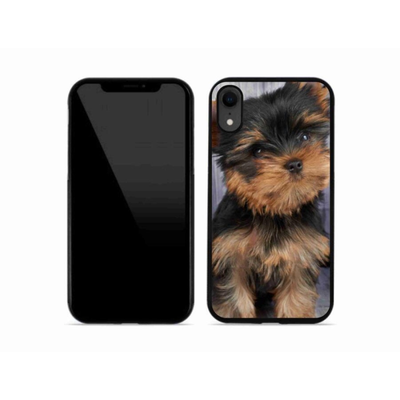 Gelový obal mmCase na mobil iPhone XR - jorkšír 9
