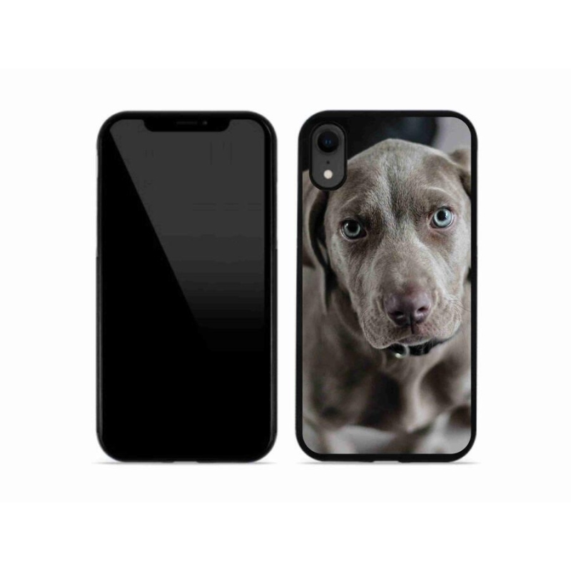 Gelový obal mmCase na mobil iPhone XR - výmarský ohař