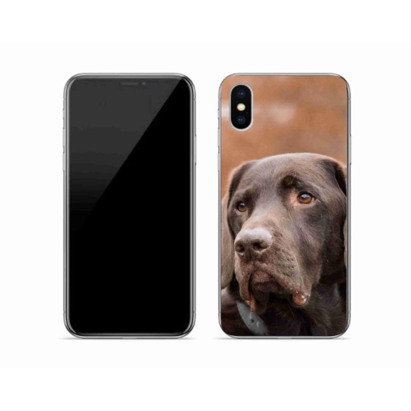 Gelový obal mmCase na mobil iPhone XS - hnědý labrador