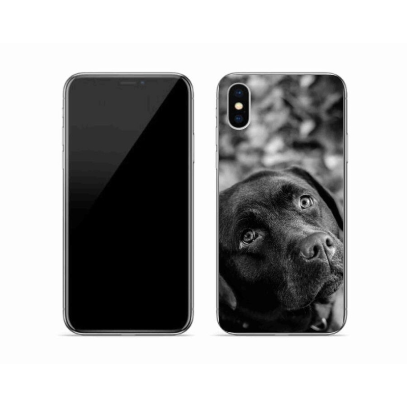 Gelový obal mmCase na mobil iPhone XS - labrador