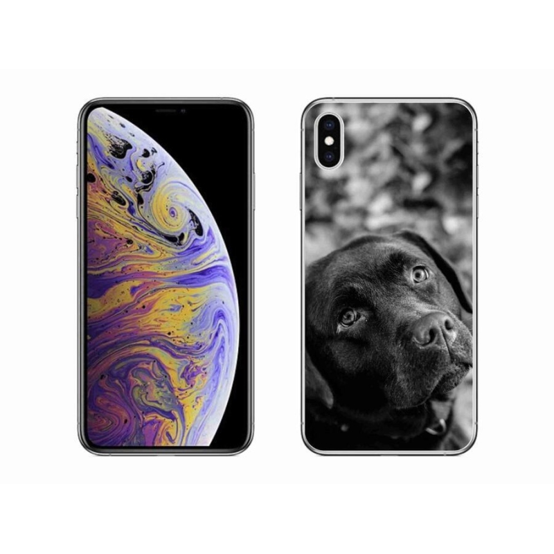 Gelový obal mmCase na mobil iPhone XS Max - labrador