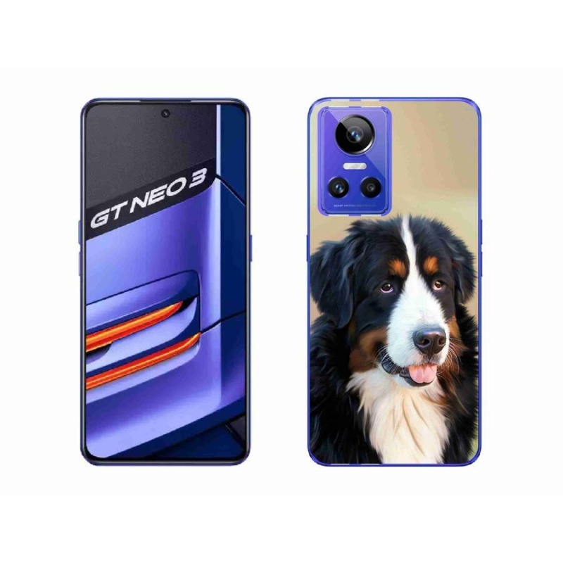 Gelový obal mmCase na mobil Realme GT Neo 3 - bernský salašnický pes