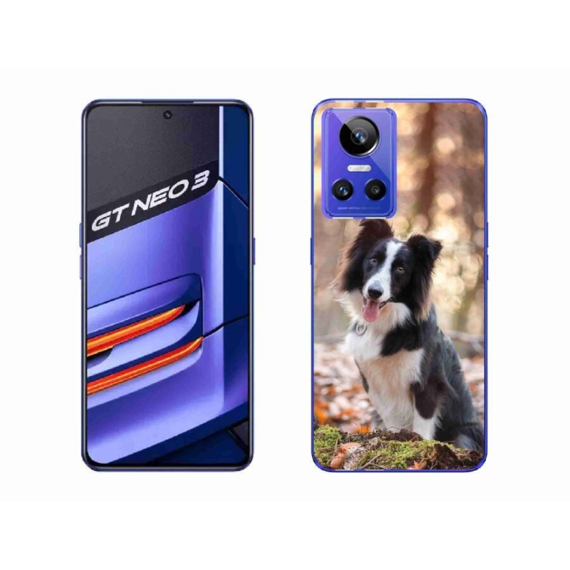 Gelový obal mmCase na mobil Realme GT Neo 3 - border kolie 1