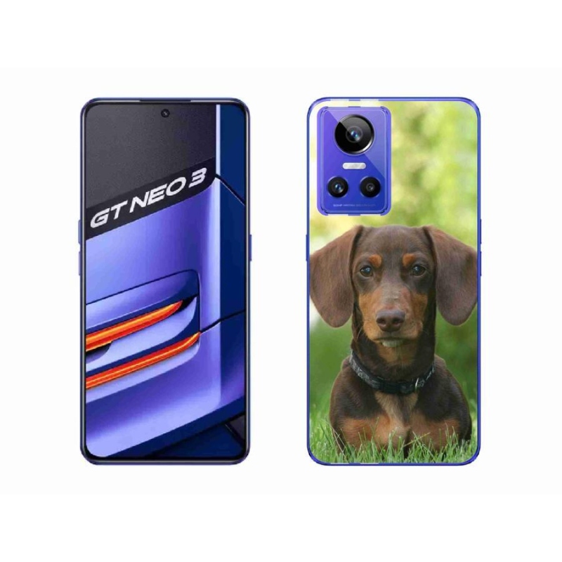 Gelový obal mmCase na mobil Realme GT Neo 3 - hnědý jezevčík