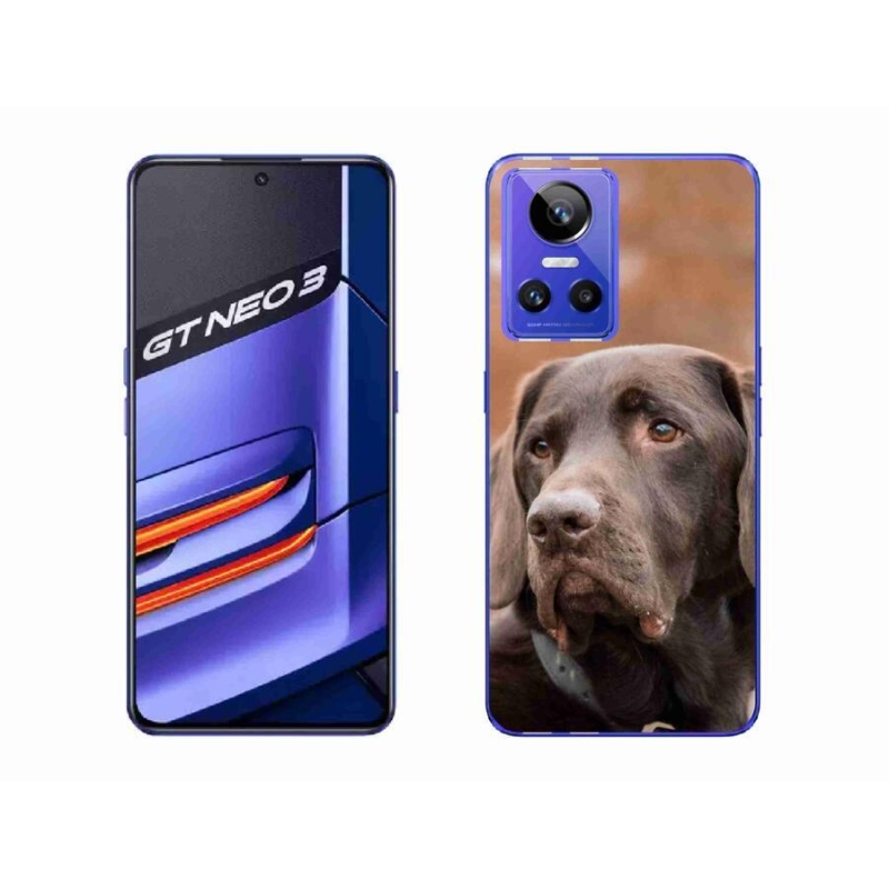 Gelový obal mmCase na mobil Realme GT Neo 3 - hnědý labrador
