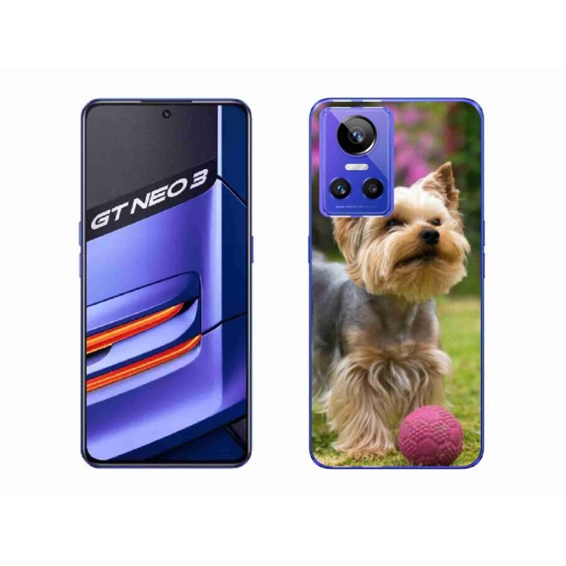 Gelový obal mmCase na mobil Realme GT Neo 3 - jorkšír 4