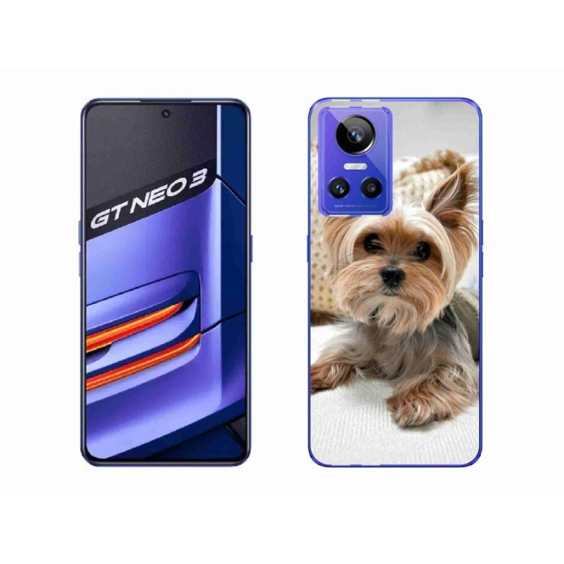 Gelový obal mmCase na mobil Realme GT Neo 3 - jorkšír 5