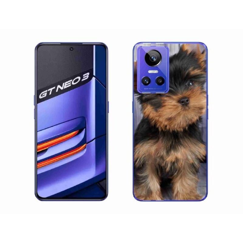Gelový obal mmCase na mobil Realme GT Neo 3 - jorkšír 9