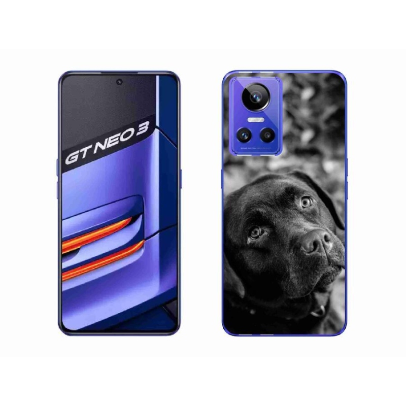 Gelový obal mmCase na mobil Realme GT Neo 3 - labrador