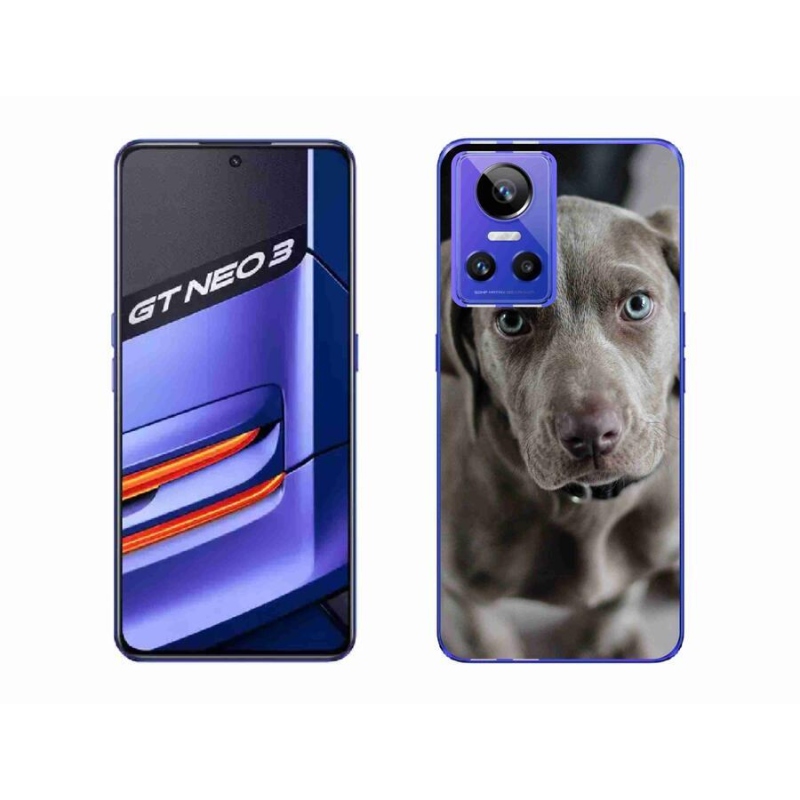 Gelový obal mmCase na mobil Realme GT Neo 3 - výmarský ohař