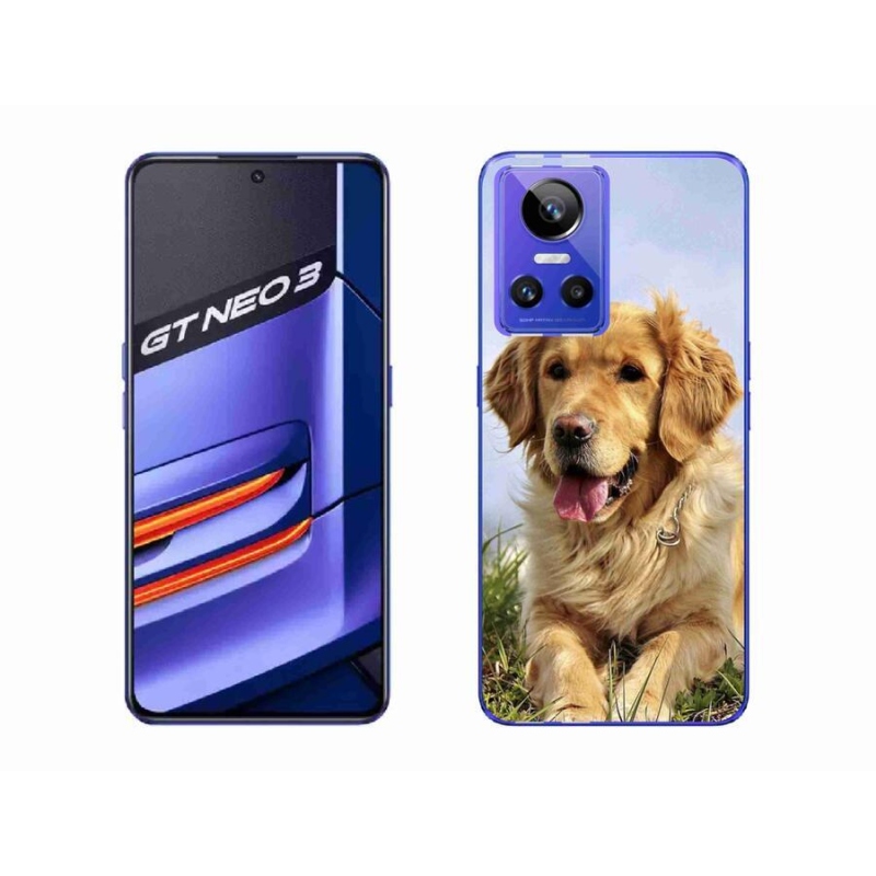 Gelový obal mmCase na mobil Realme GT Neo 3 - zlatý retrívr
