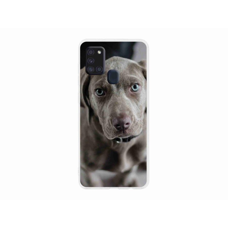 Gelový obal mmCase na mobil Samsung Galaxy A21s - výmarský ohař