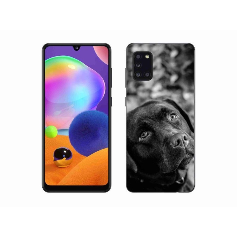 Gelový obal mmCase na mobil Samsung Galaxy A31 - labrador